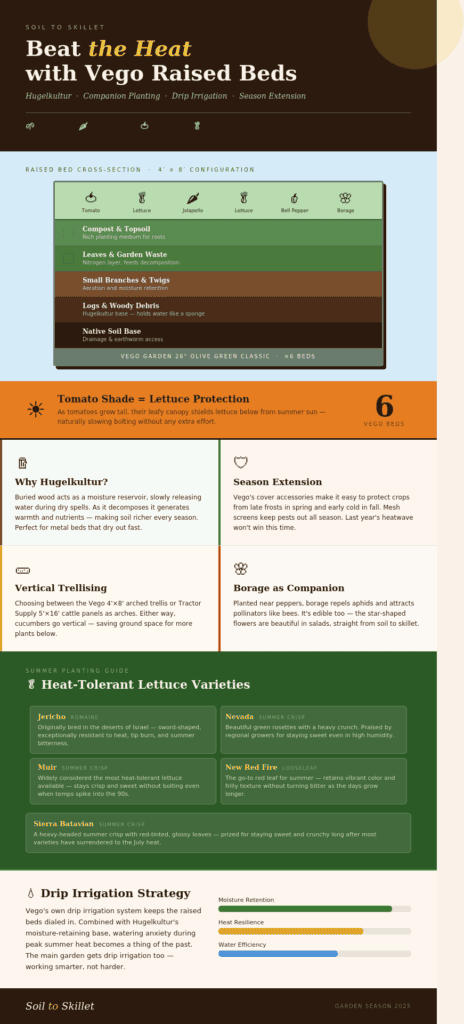 Beat the Heat: My Vego Raised Bed System for Growing Peppers, Tomatoes & Lettuce All Summer Infographic showing Vego Garden raised bed layers with Hugelkultur, heat-tolerant lettuce varieties, companion planting, and drip irrigation strategy