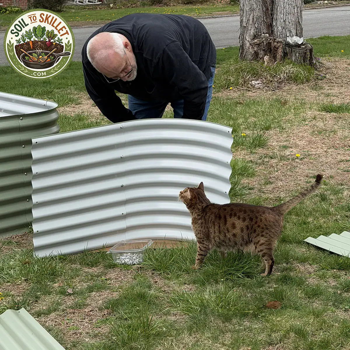 Picture of my Ocicat "Ryan Reynolds" helping me assemble a vego raised bed