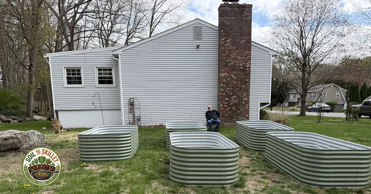 assembled 26-inch tall Vego metal raised garden beds set up outdoors in spring.